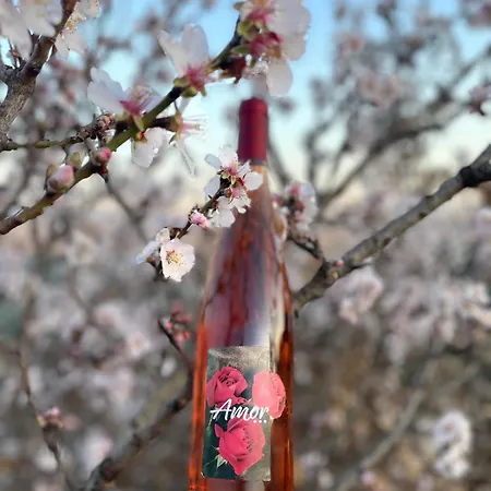 Le Albare 3* Montecchia di Crosara