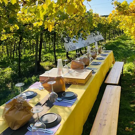 Bed & Breakfast Le Albare